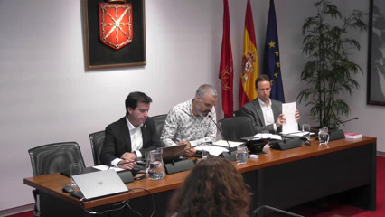 Comisión de Industria y de Transición Ecológica y Digital Empresarial N.º 30